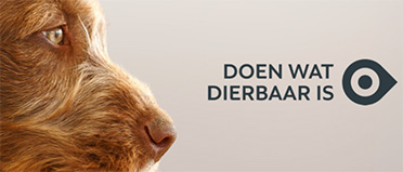 Aangesloten bij brancheorganisatie DiBeVo